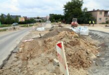 Pan Alfred sobie zasłużył