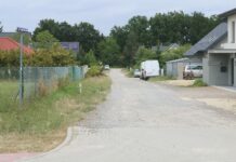 Drogowcy na skraju lasu