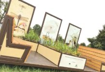 Zielona wysepka w centrum miasta