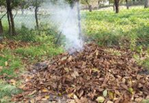 Ogniska tylko na kiełbaski