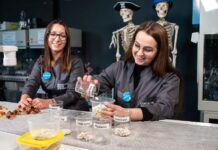 Eksperymentowali online