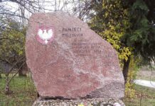 Skupili chryzantemy od lokalnych przedsiębiorców