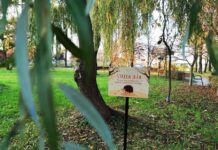 Miejskie posłanie dla jeży