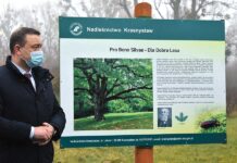 Aleja 100 dębów otwarta