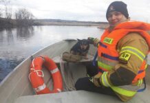 Strażacy uratowali psiaka