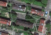 Nie chcą motyli, wolą boisko