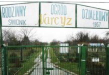 100 tysięcy do podziału dla działkowców