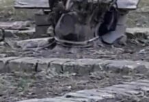 Szczury harcują, tablice kłują w oczy