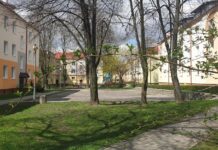 Boisko ważniejsze niż motyle