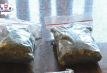 Broń, narkotyki i poszukiwana kochanka