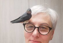 Artystka ze strzelbą i… jaskółką