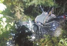 Bracia rozbili się na drzewie