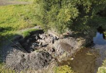 Badania zespołu wieżowego w Stołpiu