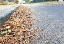 Na Zaciszu też chcą mieć czysto