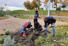Ogród Szóstki najładniejszy