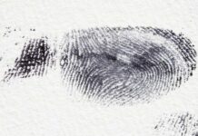 Urzędnicy pobiorą odciski palców