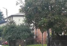 Zlustruj drogi Chełma i powiatu!