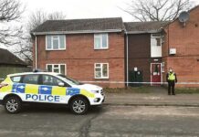 Poćwiartował matkę