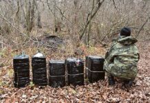 Halo, halo! Kto zamawiał?