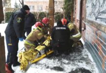 Zamarzał za Stokrotką