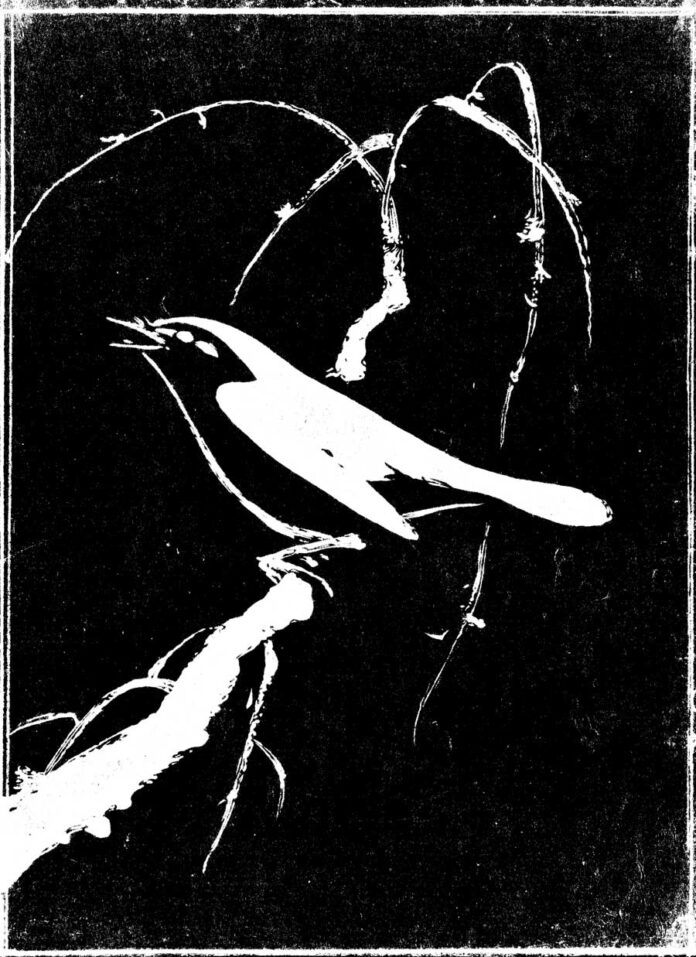 2T207D8vS3CCQhzbFC_ITA7