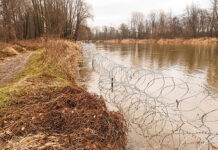 Koncertina pod wodą