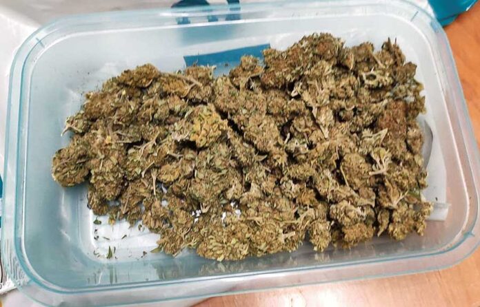 maryha-na-kosciuszki