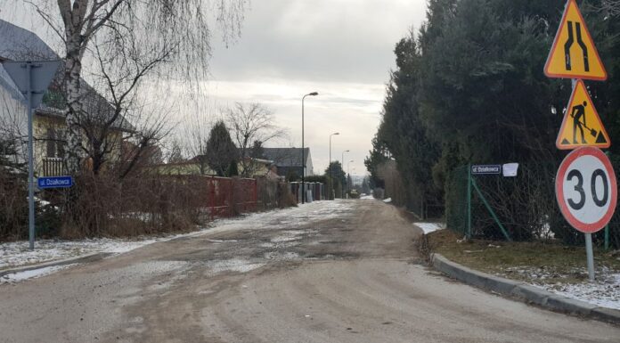 swidnik-dzialkowca-(3)