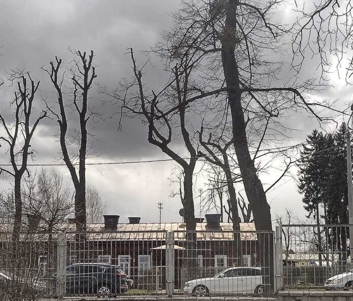 IMG_20220408_135049471_HDR