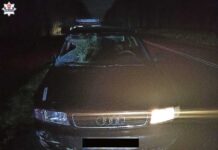 Śmiertelnie potrącił, zarzutów nie usłyszał