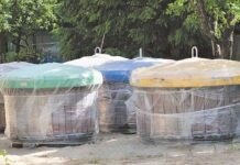 Budują podziemne gniazda