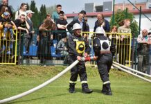 Polali w Fajsławicach