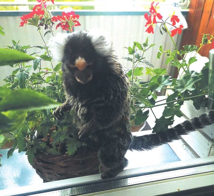 293377641_600556231594665_7