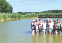 Lato chełmskich seniorów