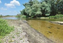 Bug idzie na minimum