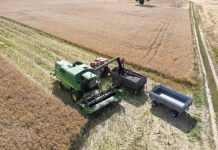 Rolnicy koszą, ale nie kasę