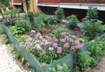 Dzieje się na Bazylanach