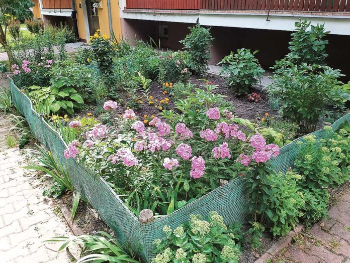 img_20220803_135540-kopia