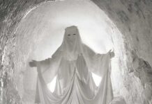 Co żyje w chełmskich podziemiach?