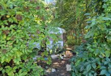 Nagusy gorszą na Traugutta