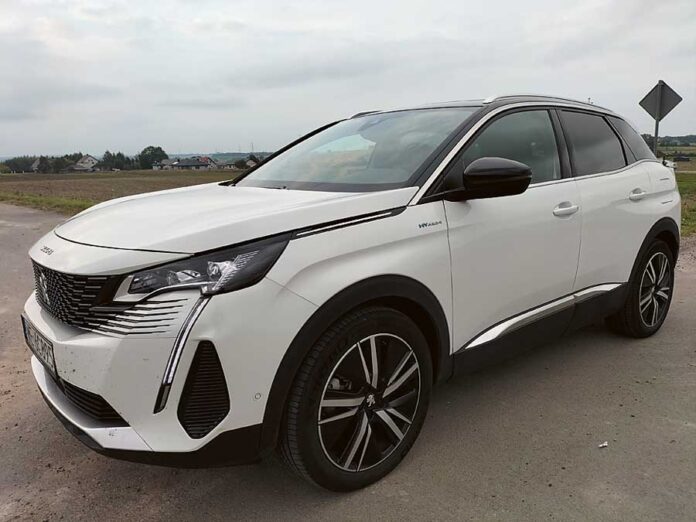 Peugeot 3008 (3)