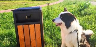 Sprzątnąć, ale gdzie wyrzucić?