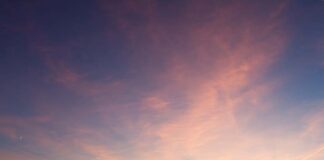 Chciał tylko obejrzeć wschód słońca