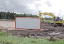 Biedronka przy trasie