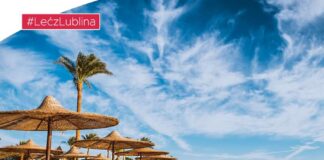 Ze Świdnika do Egiptu