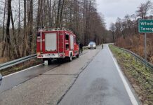 Połamane drzewa, rozsypana pasza