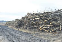 Potężna kara dla przedsiębiorcy