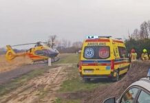 Tragedia na działce. Zginęła uderzona polanem