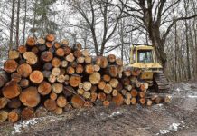 Są zarzuty dla niszczyciela przyrody. Grozi mu kara idąca w miliony