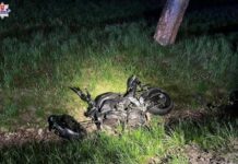 Motocyklista zginął na miejscu. Prawdopodobnie przez brawurę